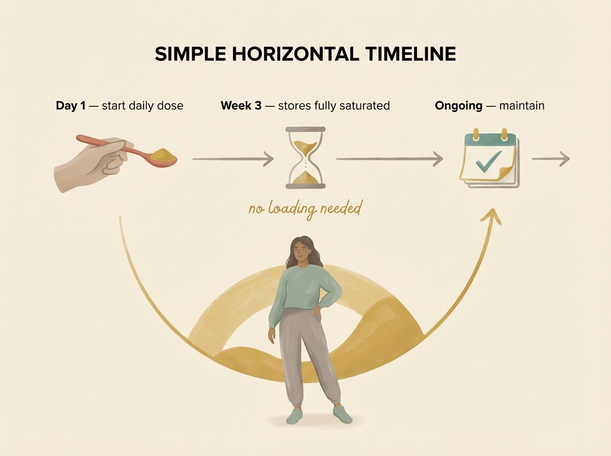 Women's creatine dosing timeline: 3-5g daily, stores full by week 3