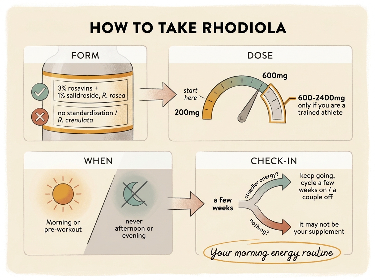 A four-step guide to taking rhodiola: pick a standardized form, start at 200mg, take it in the morning, and check in after a few weeks